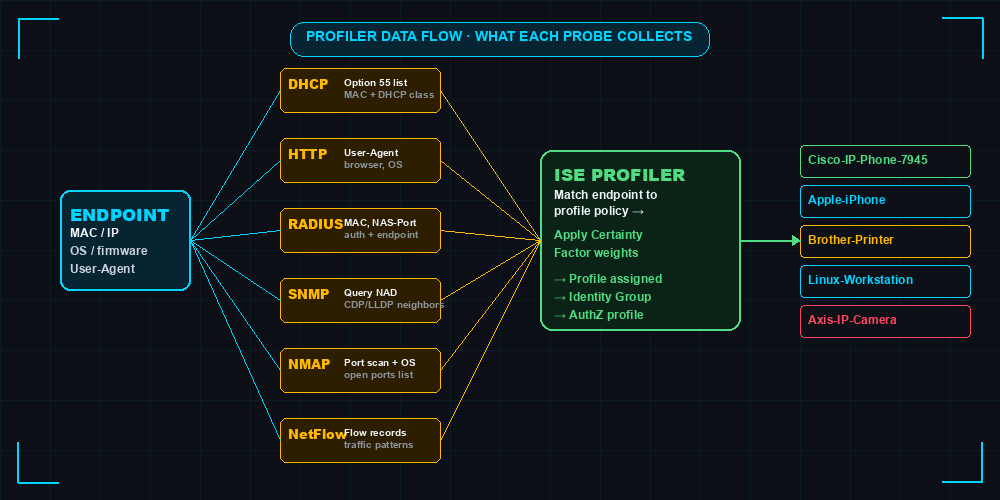 ISE Profiling probe data flow showing DHCP HTTP RADIUS SNMP NMAP and NetFlow probes collecting evidence from an endpoint and feeding the ISE Profiler engine which assigns a device profile such as Cisco-IP-Phone-7945 or Brother-Printer